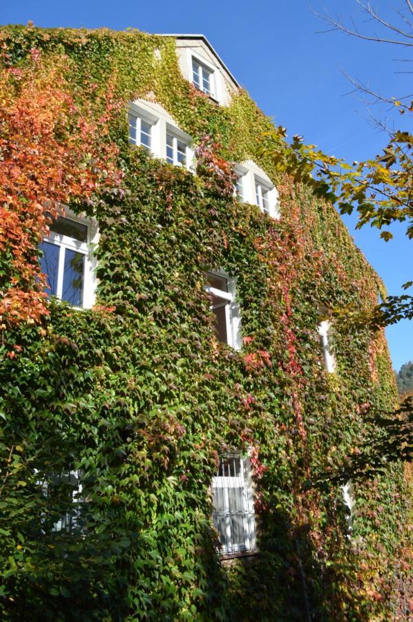 Burg Schoena Schmilka Eksteriør bilde